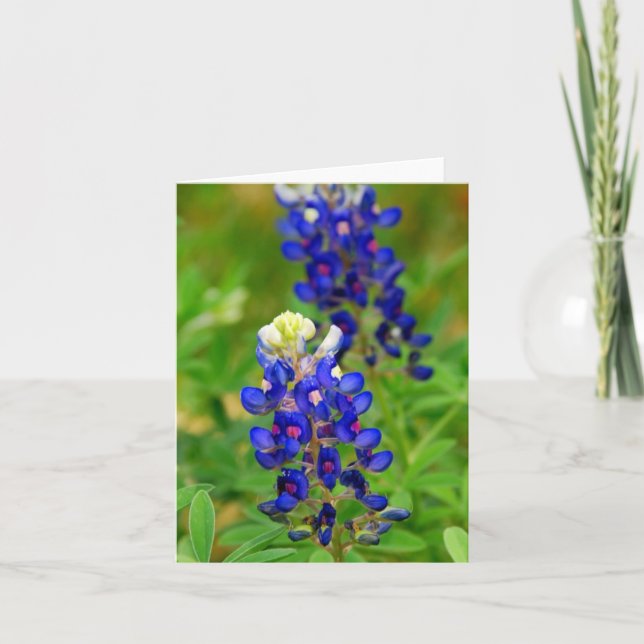 Texasbluebonnet-Anmerkungs-Karte Karte (Vorderseite)