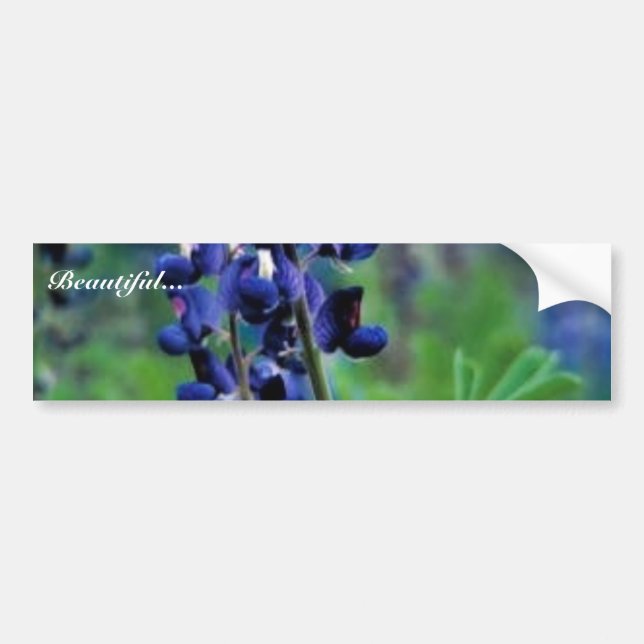 TexasBluebonnet Autoaufkleber (Vorne)