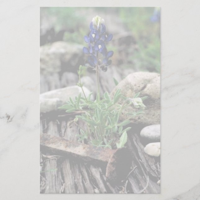 TexasBluebonnet Briefpapier (Vorderseite)