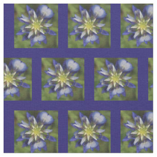 Texasbluebonnet-Gewebe Stoff
