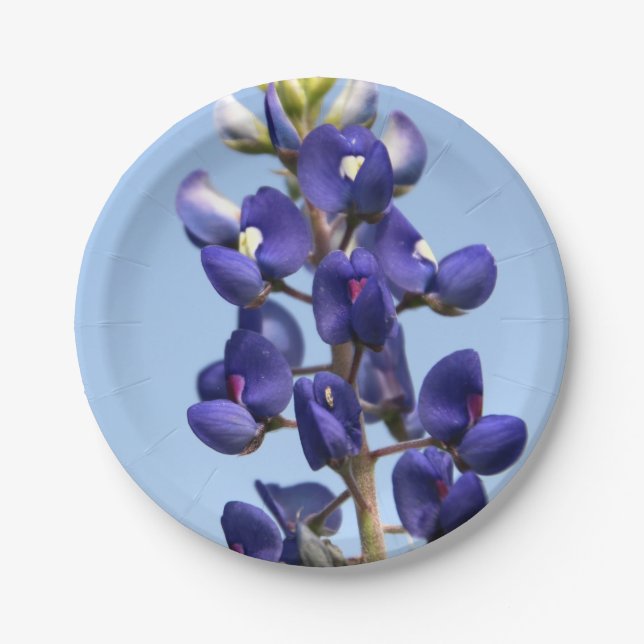 Texasbluebonnet-Papier-Teller Pappteller (Vorderseite)