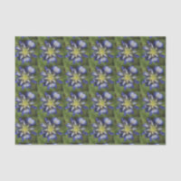 Texasbluebonnet-Seidenpapier
