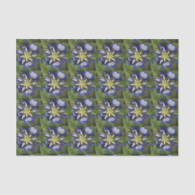 Texasbluebonnet-Seidenpapier Seidenpapier (Vorderseite)