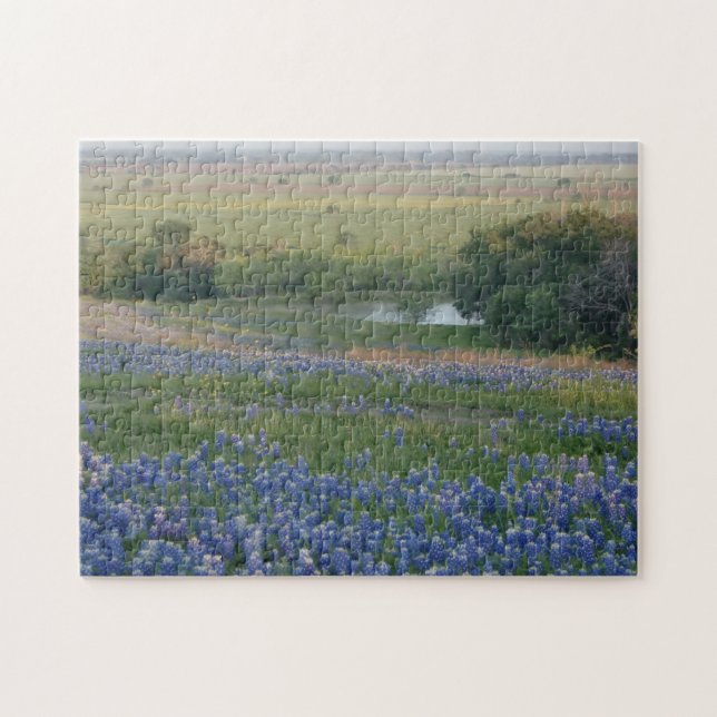 TexasBluebonnets (Horizontal)