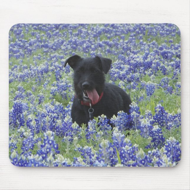 Texasbluebonnets-Feld-niedliches Welpen-HundeFoto Mousepad (Vorne)