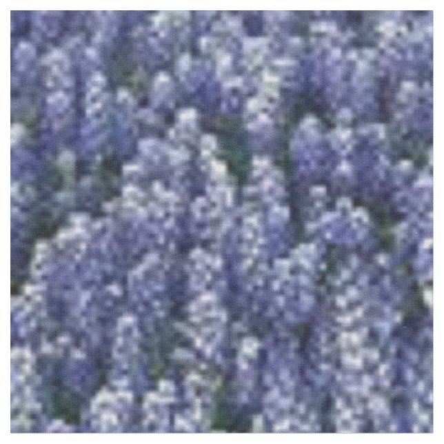 Texasbluebonnets-Gewebe Stoff (Nahaufnahme)