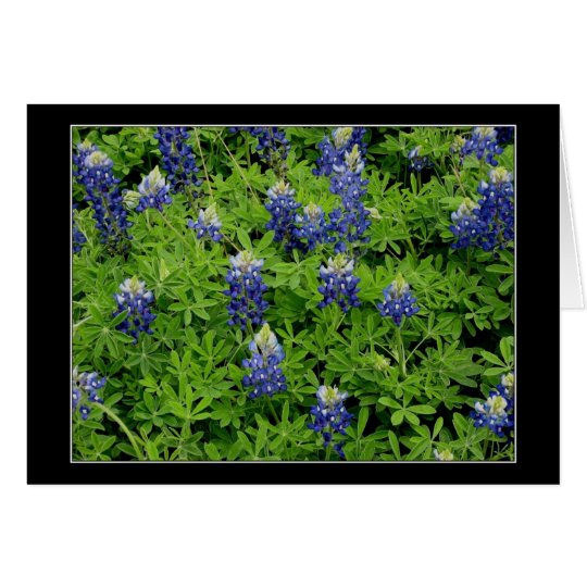 "TexasBluebonnets " Karte