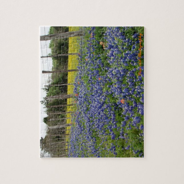 TexasBluebonnets machen Kunst-Fotografie ein (Vertikal)