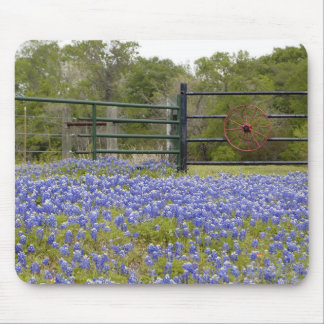 TexasBluebonnets Mousepad