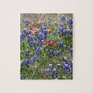 TexasBluebonnets u. indischer