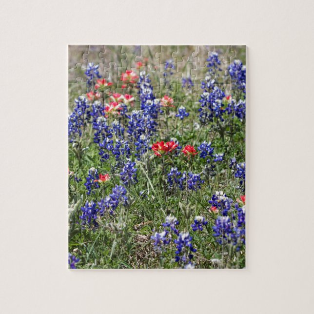 TexasBluebonnets u. indischer (Vertikal)