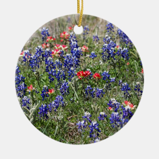 TexasBluebonnets u. indischer Keramikornament (Vorne)