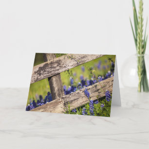 TexasBluebonnets um einen Land-Zaun Karte