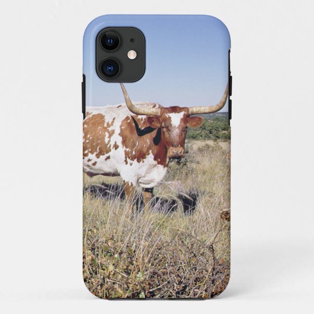 Texaslonghorn-Zucht (Foto) Case-Mate iPhone Hülle (Rückseite)