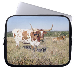Texaslonghorn-Zucht (Foto) Laptopschutzhülle