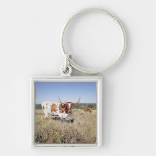 Texaslonghorn-Zucht (Foto) Schlüsselanhänger