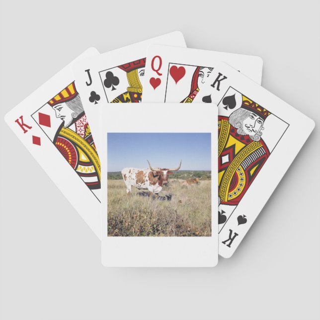 Texaslonghorn-Zucht (Foto) Spielkarten (Rückseite)
