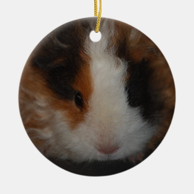 Texel Meerschweinchenverzierung Keramik Ornament (Vorne)
