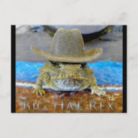 Texes Cousin...bIg hAtEx