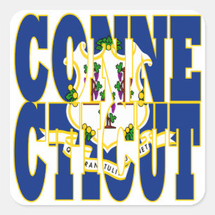 Text für die Flagge des Connecticut-Staates Quadratischer Aufkleber