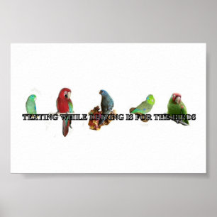 Texte pendant la conduite Poster