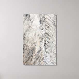Textur von Tierfellen Leinwanddruck