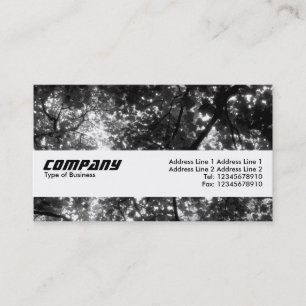Texturband - In den Bäumen II Visitenkarte
