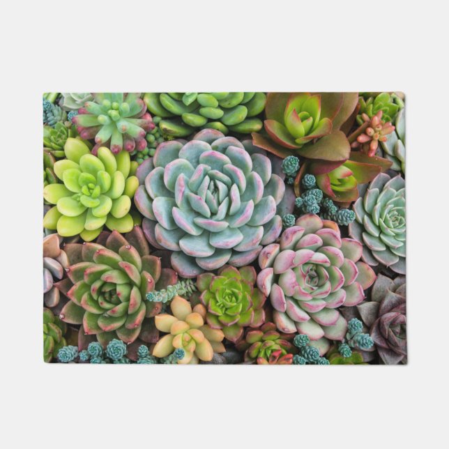 Texture succulente de la nature Tapis de porte (Devant)