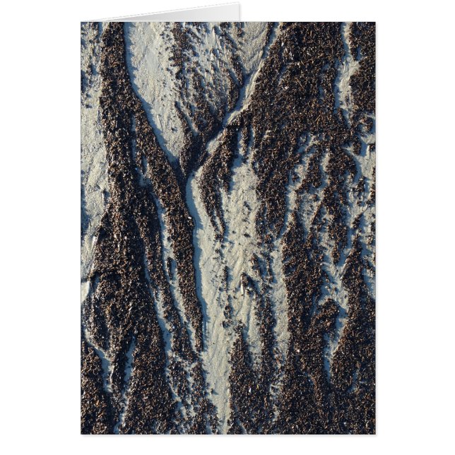 textures de plage avec algues (Devant)