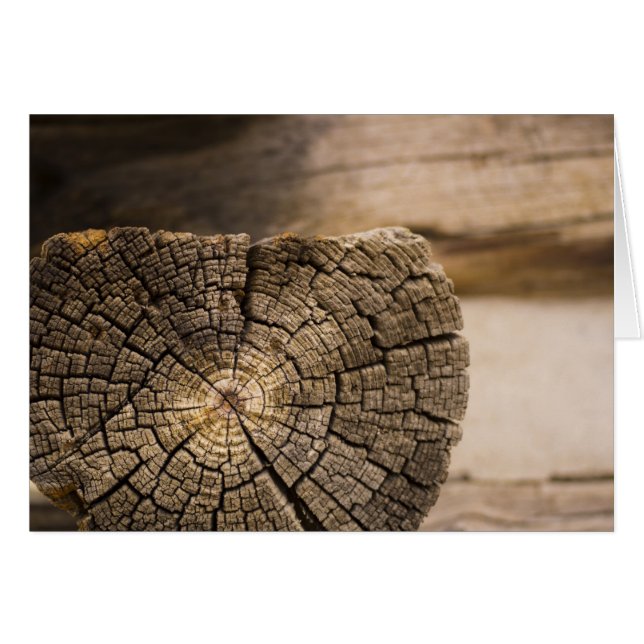 Textures de vieux Cabines (Devant horizontal)