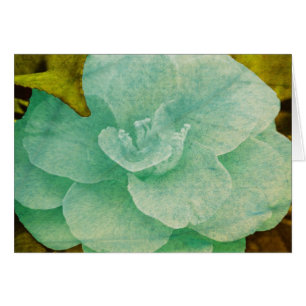 Texturierte Blume von Shirley Taylor