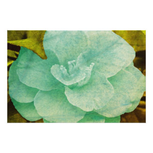 Texturierte Blume von Shirley Taylor Fotodruck