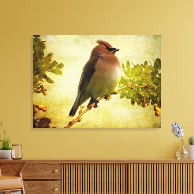 Texturierte Cedar Waxwing Stretch Canvas Print Leinwanddruck (Insitu (Wohnzimmer))
