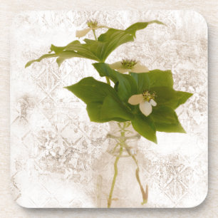 Texturierte Dogwood Bunch Berry in Jar Stillleben Untersetzer