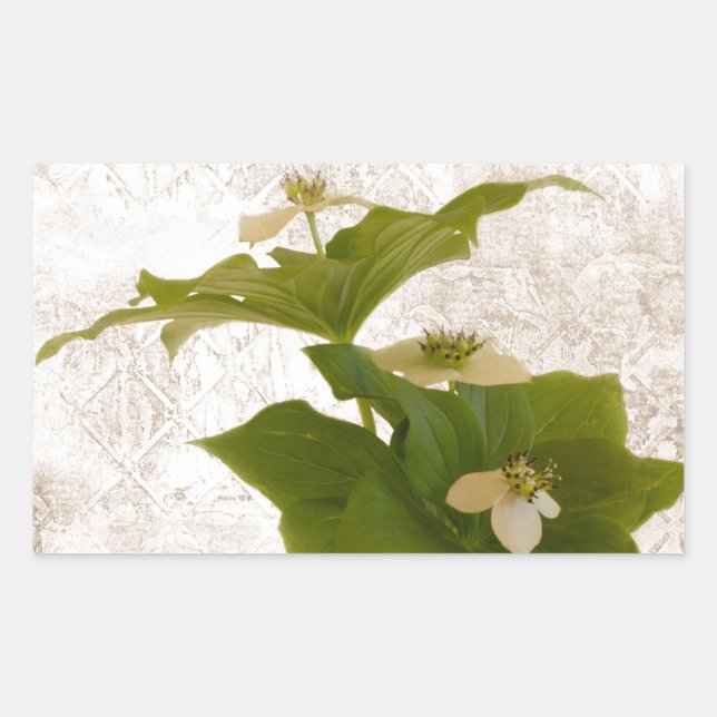 Texturierte Dogwood Bunch Berry Rechteckiger Aufkleber (Vorderseite)