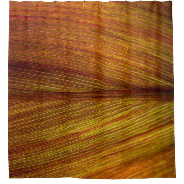 Texturleverlandmakro Duschvorhang (Vorderseite)