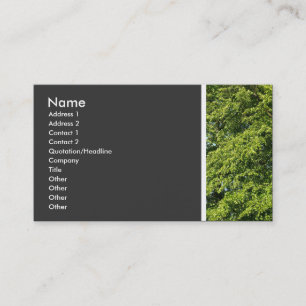 Texturstein (Bäume II) Visitenkarte