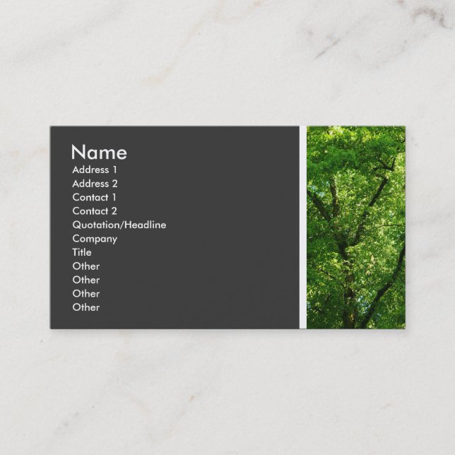 Texturstein (Bäume III) Visitenkarte (Vorderseite)