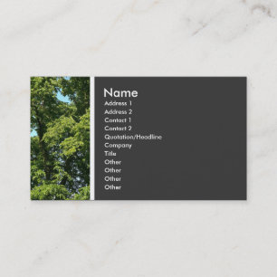 Texturstein (Bäume) Visitenkarte