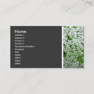 Texturstein (Kuhparsley) Visitenkarte