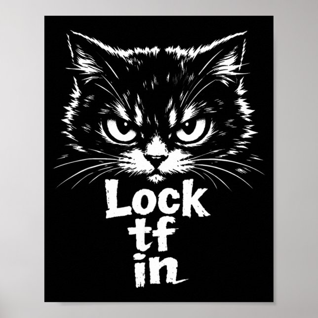 TF in Katze sperren Poster (Vorne)