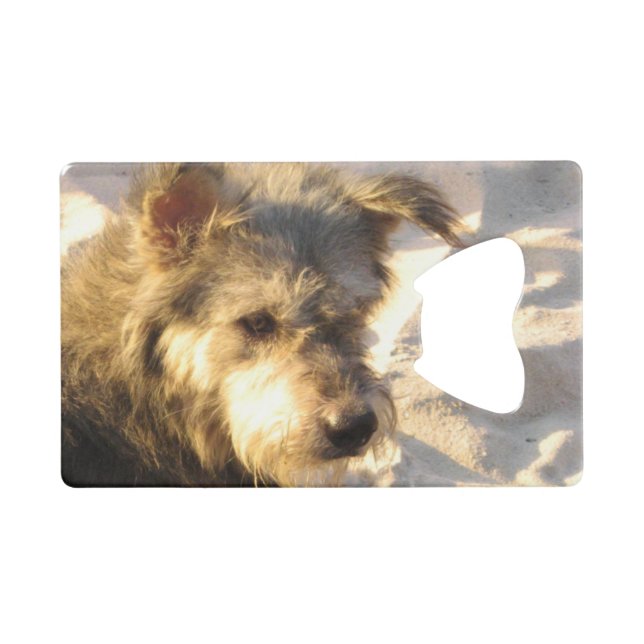 Thai Beach Dog Geldbeutel Flaschenöffner (Vorderseite (Horizontal))