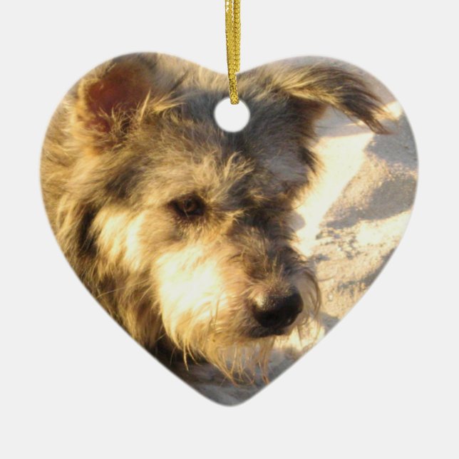 Thai Beach Dog Keramik Ornament (Vorne)