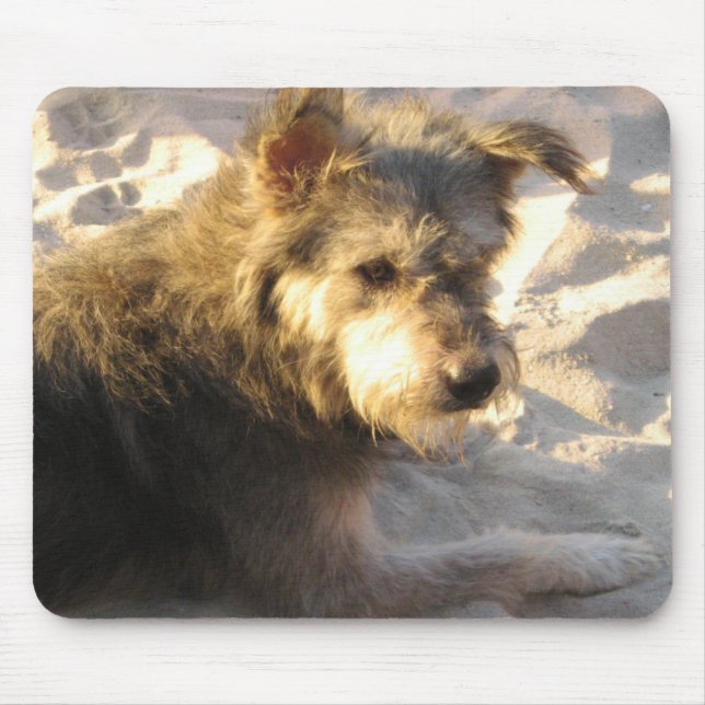 Thai Beach Dog Mousepad (Vorne)