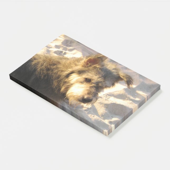 Thai Beach Dog Post-it Klebezettel (angewinkelt)