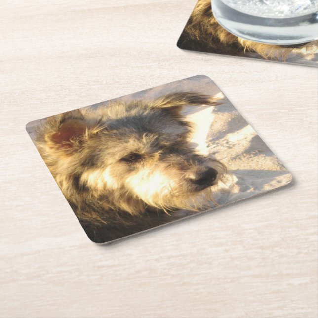 Thai Beach Dog Rechteckiger Pappuntersetzer (angewinkelt)
