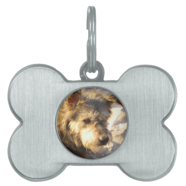 Thai Beach Dog Tiermarke (Vorderseite)