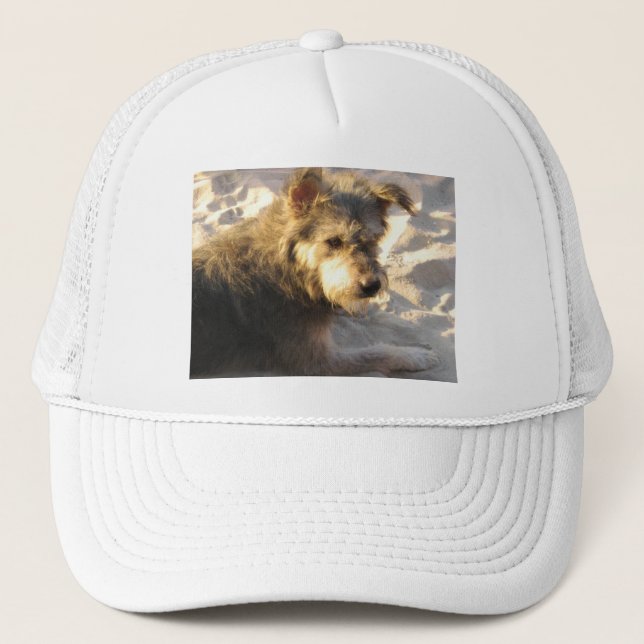 Thai Beach Dog Truckerkappe (Vorderseite)