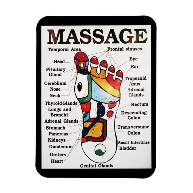 Thai Foot Massage ~ Reflexology map Magnet (Vertikal)