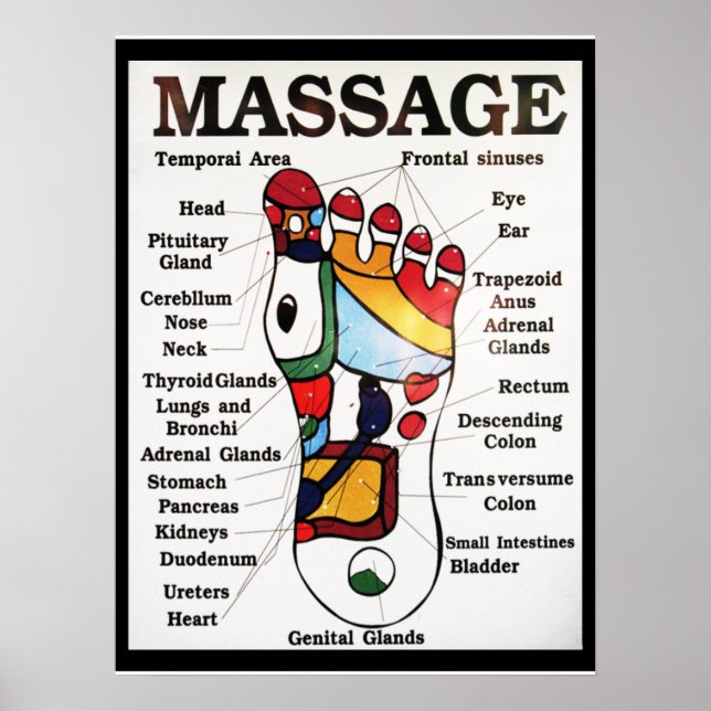 Thai Fußmassage ~ Reflexzonenkarte Poster (Vorne)